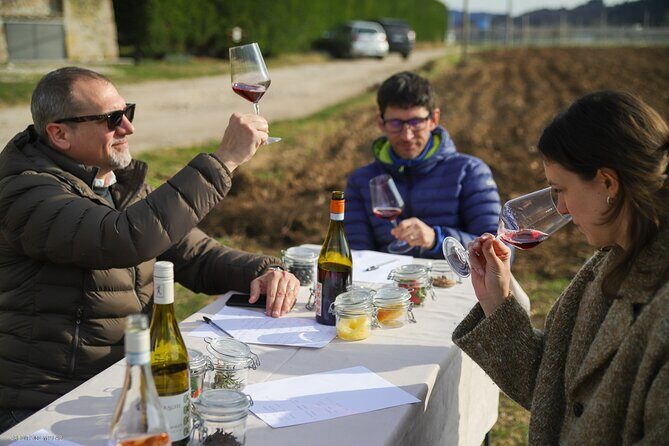 A Journey Into Wines Tastes and Aromas - FAQ