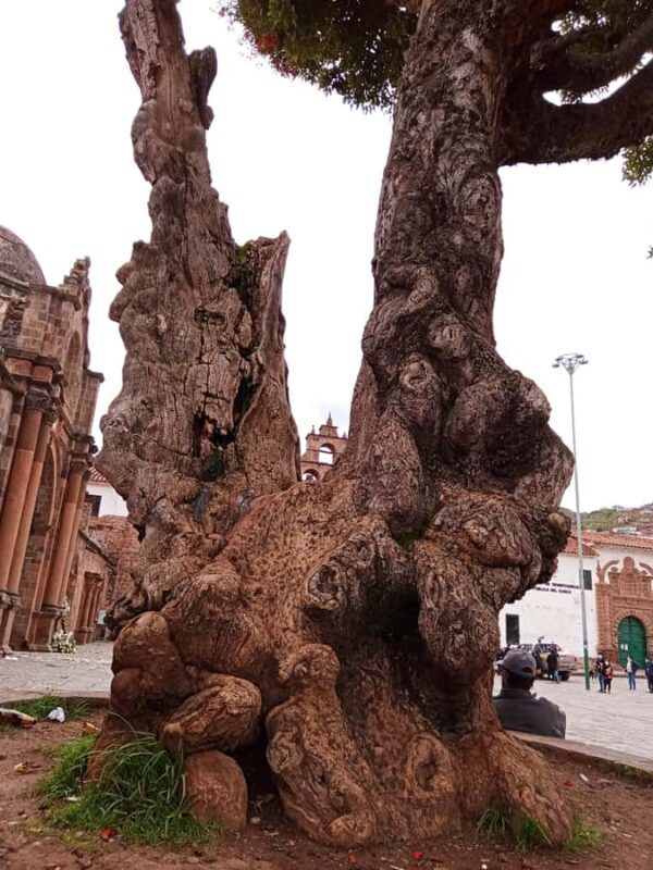 A JOURNEY THROUGH TIME: Traditions and Legends of Cuzco - Exploring Cusco’s Legends with a Local Guide