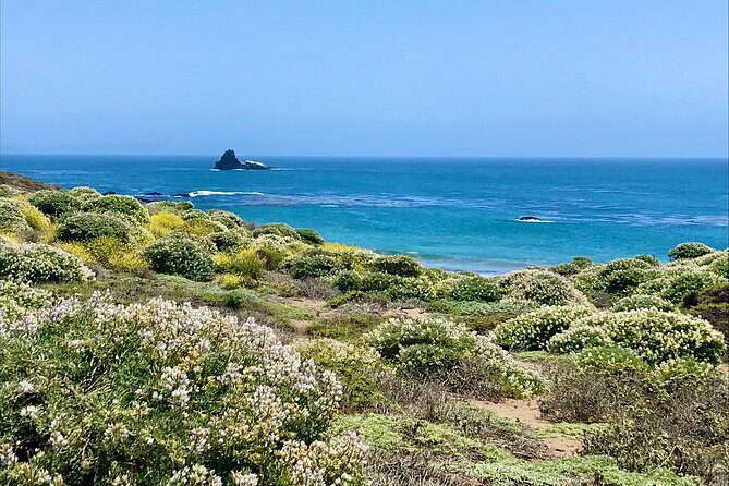 A La La Tour - Private Tour of California's Central Coast - Discovering the Central Coast with Your Personal Guide