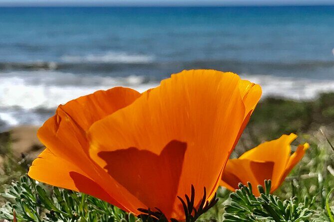 A La La Tour - Private Tour of California's Central Coast - Highlights for Wine Lovers and Sightseers