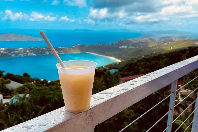 A Little Bit Of Everything Tour & Beach with Rum Punch (Private) - Ready to explore St. Thomas on your terms? This tour might just be your perfect island adventure.