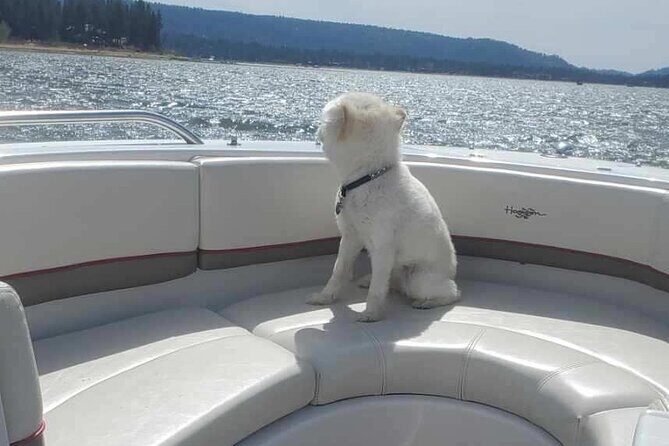 A Local's Favorite Hike in Big Bear with Lake Swimming Experience - Key Points