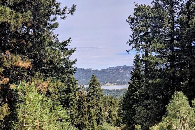A Local's Favorite Hike in Big Bear with Lake Swimming Experience - Final Thoughts