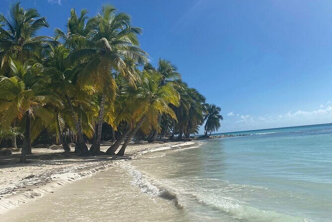 A Magical Day on Saona Island - The Value of This Tour