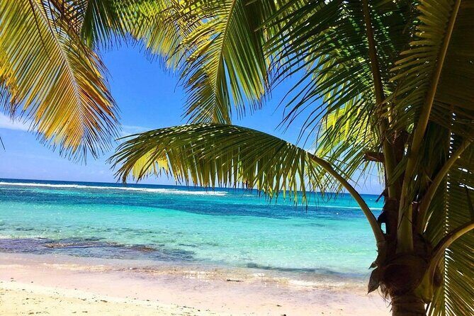 A Magical Day on Saona Island - Frequently Asked Questions (FAQs)