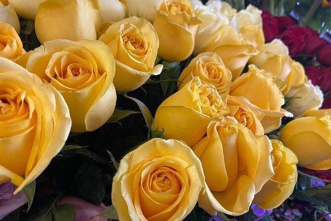 A Mexican Cooking Class - Final Thoughts