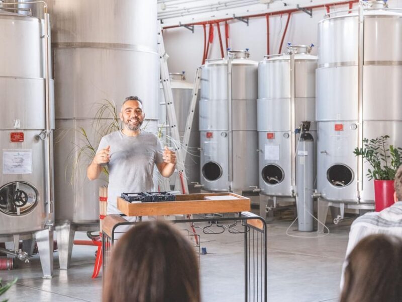 A morning with the Winemaker - A Detailed Look at the Experience