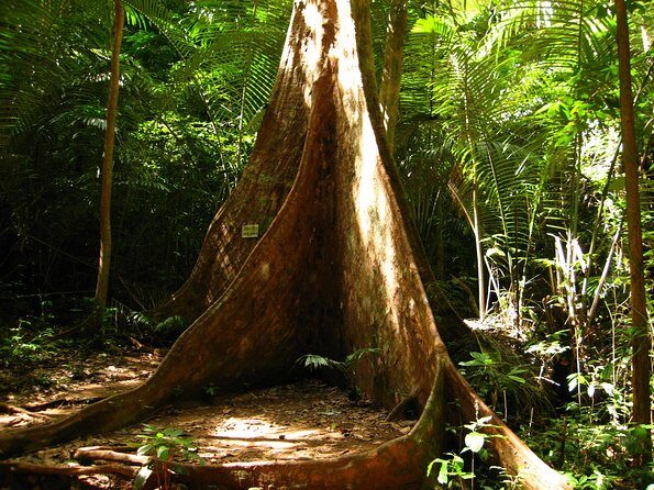 A Natural Discovery of Scenic Krabi - FAQ