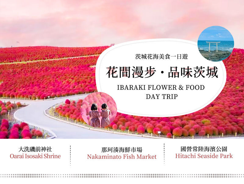 A Perfect Day Trip: Ibaraki Flower Park & Gourmet Food: Oarai Isosaki Shrine, Nakaminato Seafood Market, Hitachi Seaside Park | Departs from Tokyo - A coastal shrine, a fish market and a flower park in one day