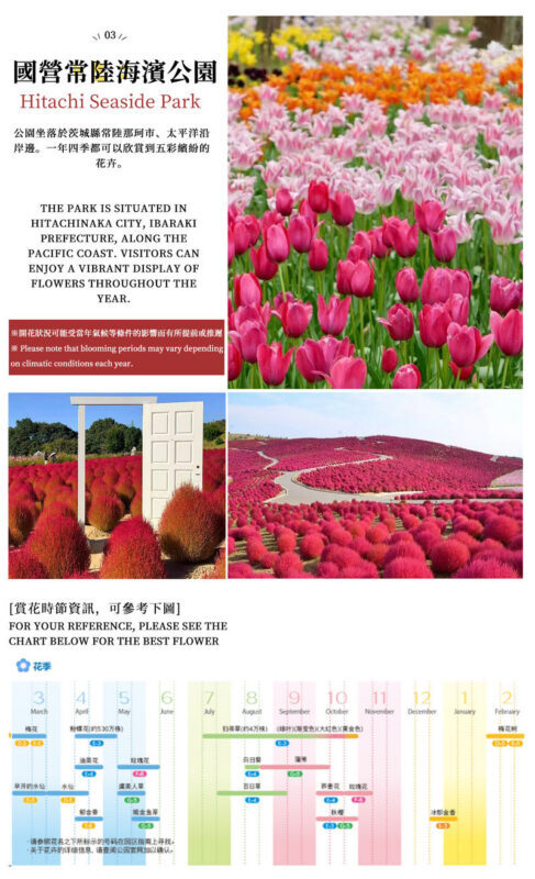 A Perfect Day Trip: Ibaraki Flower Park & Gourmet Food: Oarai Isosaki Shrine, Nakaminato Seafood Market, Hitachi Seaside Park | Departs from Tokyo - Hitachi Seaside Park: choose the season, not just the photo