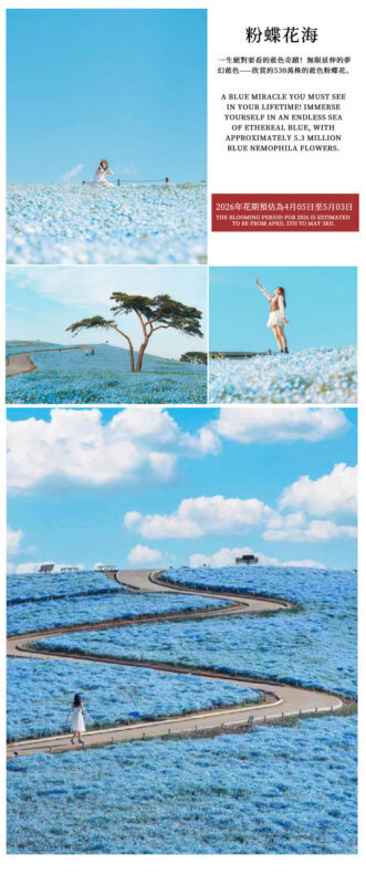 A Perfect Day Trip: Ibaraki Flower Park & Gourmet Food: Oarai Isosaki Shrine, Nakaminato Seafood Market, Hitachi Seaside Park | Departs from Tokyo - What the fare covers, and what it does not