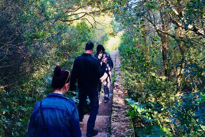 A PRIVATE afternoon south of Lisbon, mountain WINES and SECRET places! - Practical Details & Value