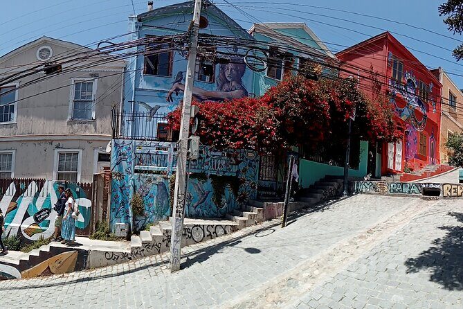 A Private Day Trip to Viña del Mar and Valparaíso from Santiago - Final Thoughts