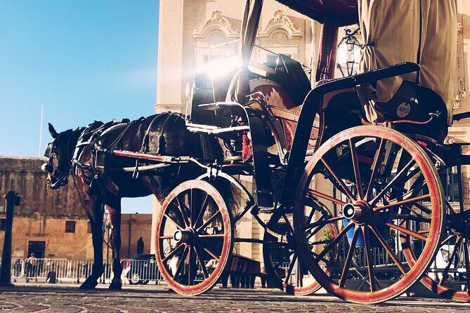 A Private Driver For 6 Hours (Private Tour) - Who Will Love This Tour?