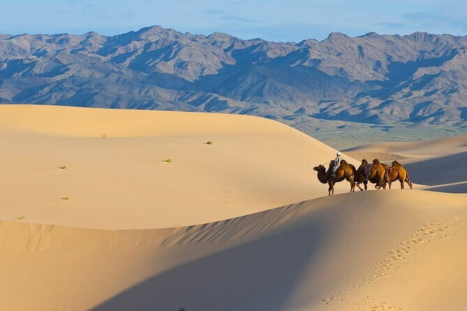 A Private Tour to Central Mongolia - Is This Tour Right for You?