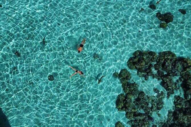 A private tour with Blue Lagoon - Stop 1: Taha’a — Snorkeling, Beaches, and Possible Lunch on a Motu