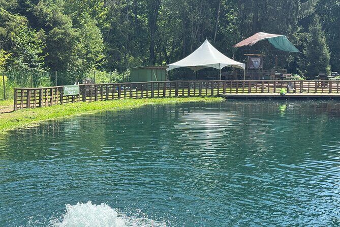 A Relaxing Day of Fishing and Fresh BBQ - An In-Depth Look at the Silverbrook Farm Experience