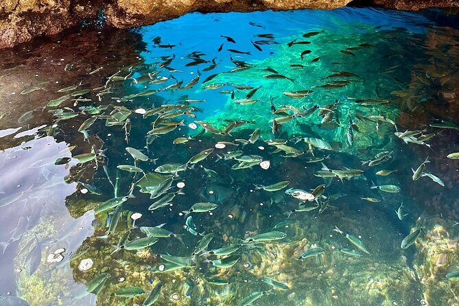 A Relaxing Private Corfu Sea Tour for Cruise Passengers - Who Will Love This Tour?