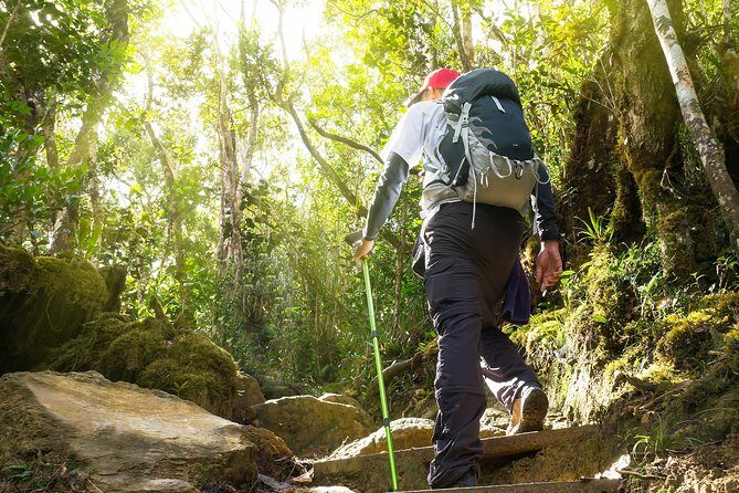A Rendezvous with Nature - Templer Park and Kanching Waterfall Tour - Who is This Tour Best Suited For?