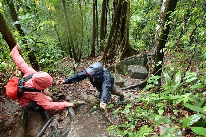 A Rendezvous with Nature - Templer Park and Kanching Waterfall Tour - The Sum Up