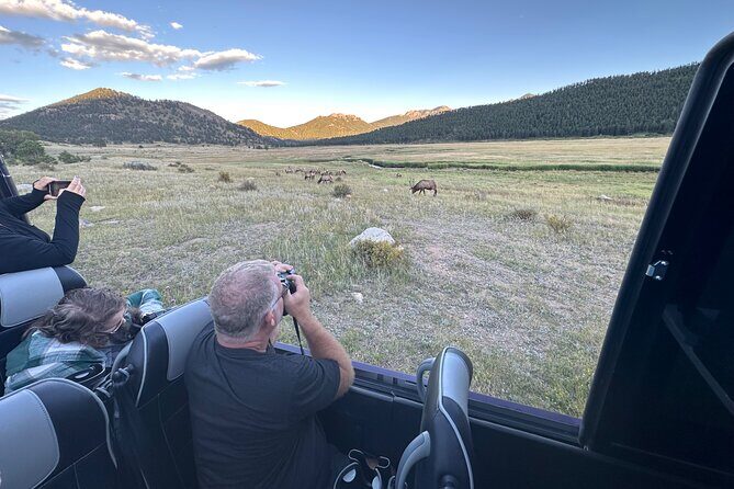 A Rutin' Good Time; Elk Tour in Rocky Mountain National Park - Key Points