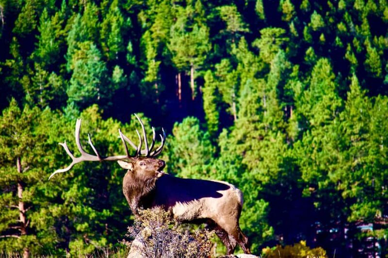 A Ruttin' Good Time - Frequently Asked Questions