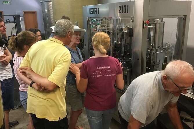 A Sample Of Wine, A Sample Of Istria - A Short But Fulfilled Program - The Sum Up: Is This Tour Worth It?
