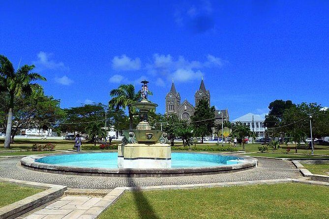 A Scenic, Historical and Guided Rainforest Tour - Key Points