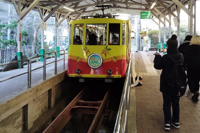 A Scenic Private Tour in Mount Takao Tokyo - FAQ