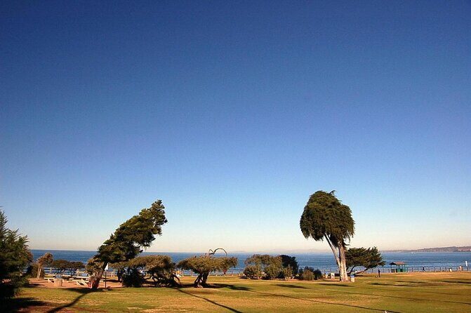 A Seaside Stroll: La Jolla's Hidden Treasures Self-Guided Tour - A Seaside Stroll: La Jollas Hidden Treasures Self-Guided Tour