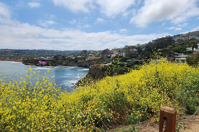 A Seaside Stroll: La Jolla's Hidden Treasures Self-Guided Tour - In-Depth Breakdown of the Itinerary