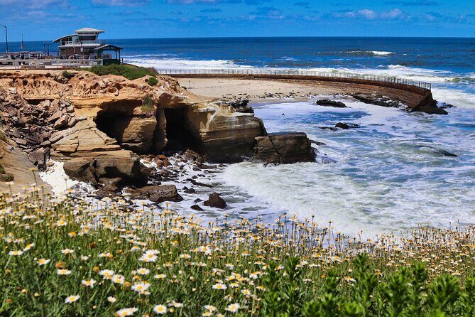 A Seaside Stroll: La Jolla's Hidden Treasures Self-Guided Tour - Final Thoughts