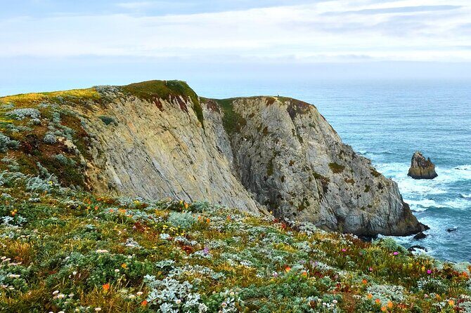 A Self-Guided Audio Tour Around Bodega Head - A Self-Guided Audio Tour Around Bodega Head: A Coastal Gem