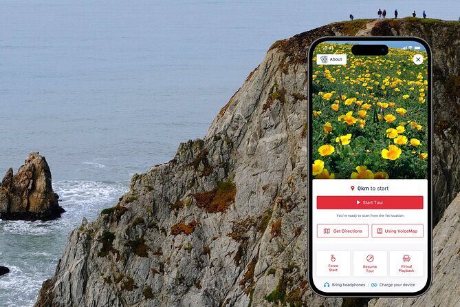 A Self-Guided Audio Tour Around Bodega Head - Key Points