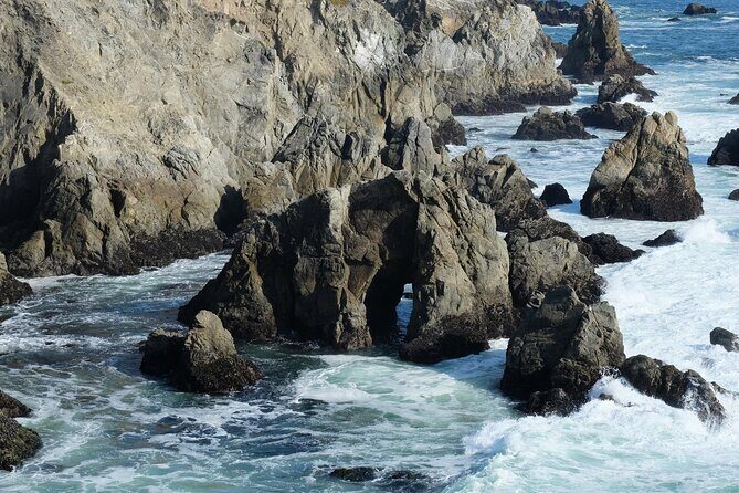 A Self-Guided Audio Tour Around Bodega Head - Who Should Consider This Tour?