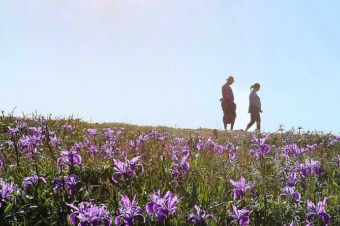 A Self-Guided Audio Tour Around Bodega Head - Frequently Asked Questions