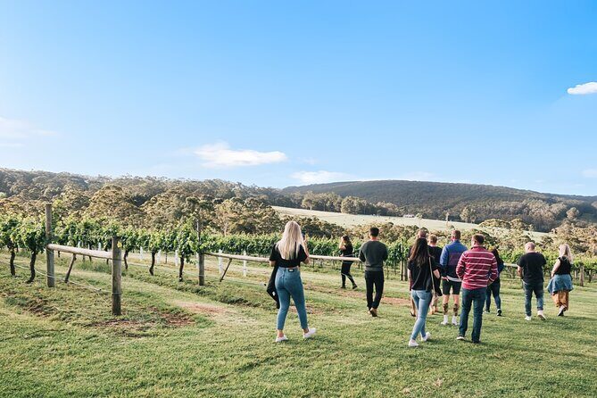 A Sense of Place a Wine Tasting Experience in Denmark - An In-Depth Look at the "A Sense of Place" Experience