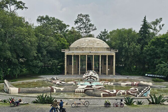 A singular journey through Chapultepec. - Key Points