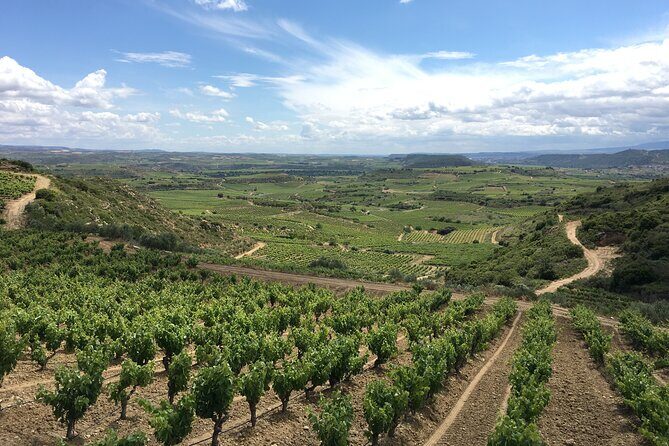 A Sip-By-Sip Tour of 3 Boutique Rioja Family Wineries (Private Tour with Lunch) - An In-Depth Look at the Rioja Private Winery Tour
