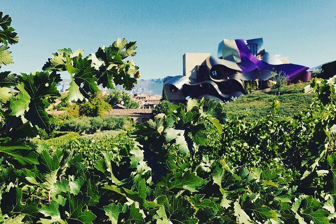 A Sip-By-Sip Tour of 3 Boutique Rioja Family Wineries (Private Tour with Lunch) - FAQ