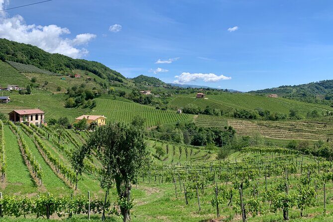 A Sparkling Day in the Prosecco Hills from Venice by Yellowboot - Who Should Consider This Tour?