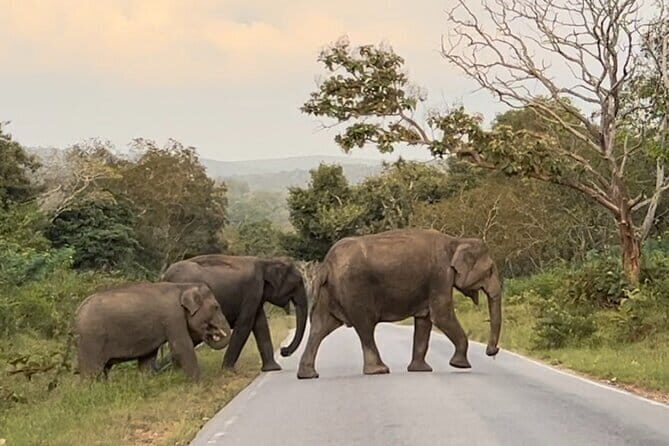 A Spiritual Day Trip to Vidurashwatha, Lepakshi & Adiyogi Statue - What We Loved and What to Consider