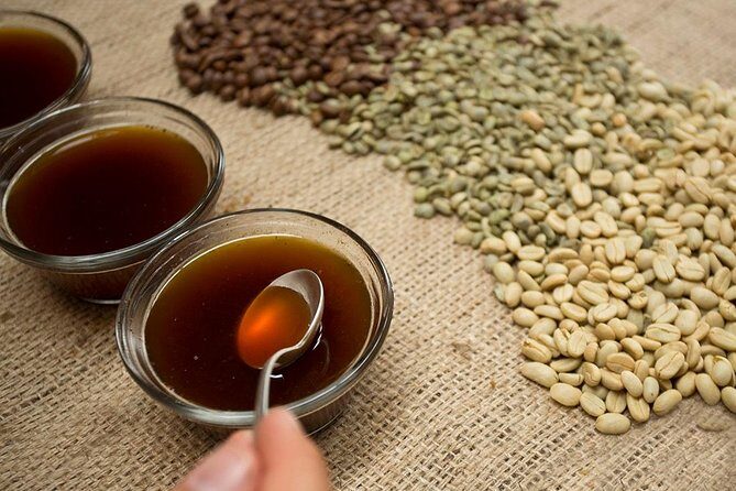 A taste of Aquiares - 2 hours Coffee Tour - A Taste of Aquiares - 2 Hours Coffee Tour: An Authentic Coffee Experience in Costa Rica