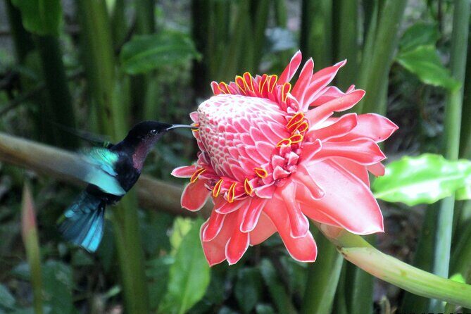 A Taste of Fond Doux Private Walking Tour - A Detailed Look at the Fond Doux Private Walking Tour