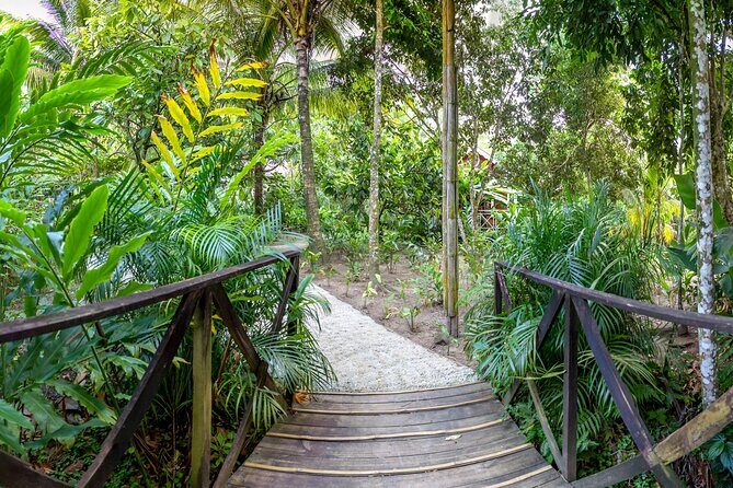 A Taste of Fond Doux Private Walking Tour - Final Thoughts