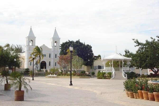 A taste of Los Cabos. A San Jose and Cabo San Lucas City Tour - The Sum Up