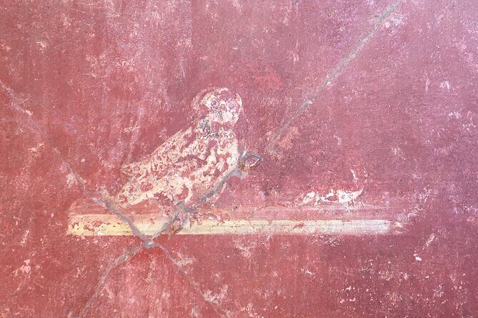 A Taste of Pompeii Archaeological Park from your Home - The Practicalities: What You Need to Know