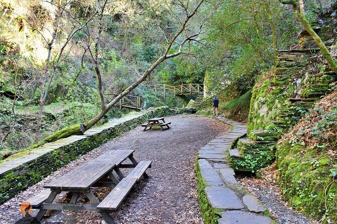 A tour between Cascades and Schist Villages, Piodão - Why This Tour Offers Genuine Value