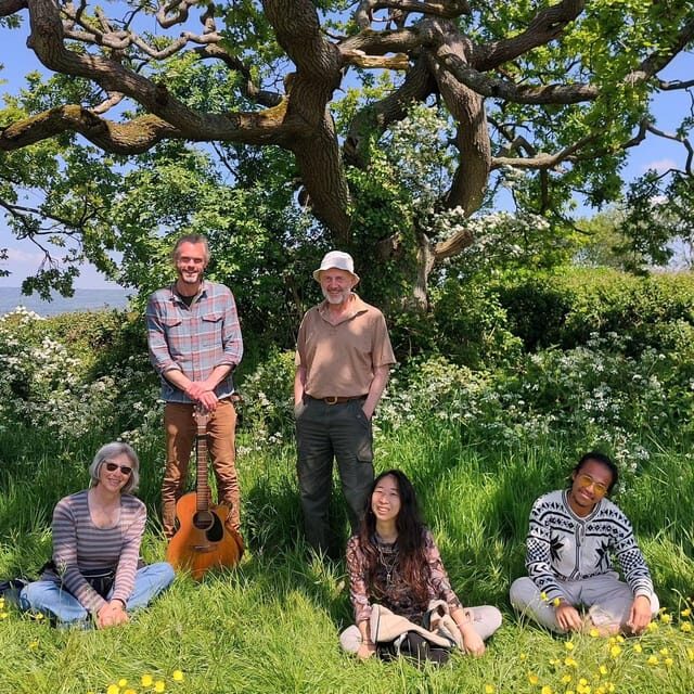 A Tour of Glastonbury - Guided by the Trees - Exploring the Details: What to Expect