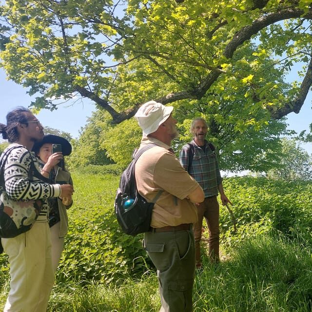 A Tour of Glastonbury - Guided by the Trees - Who Will Enjoy This Tour?